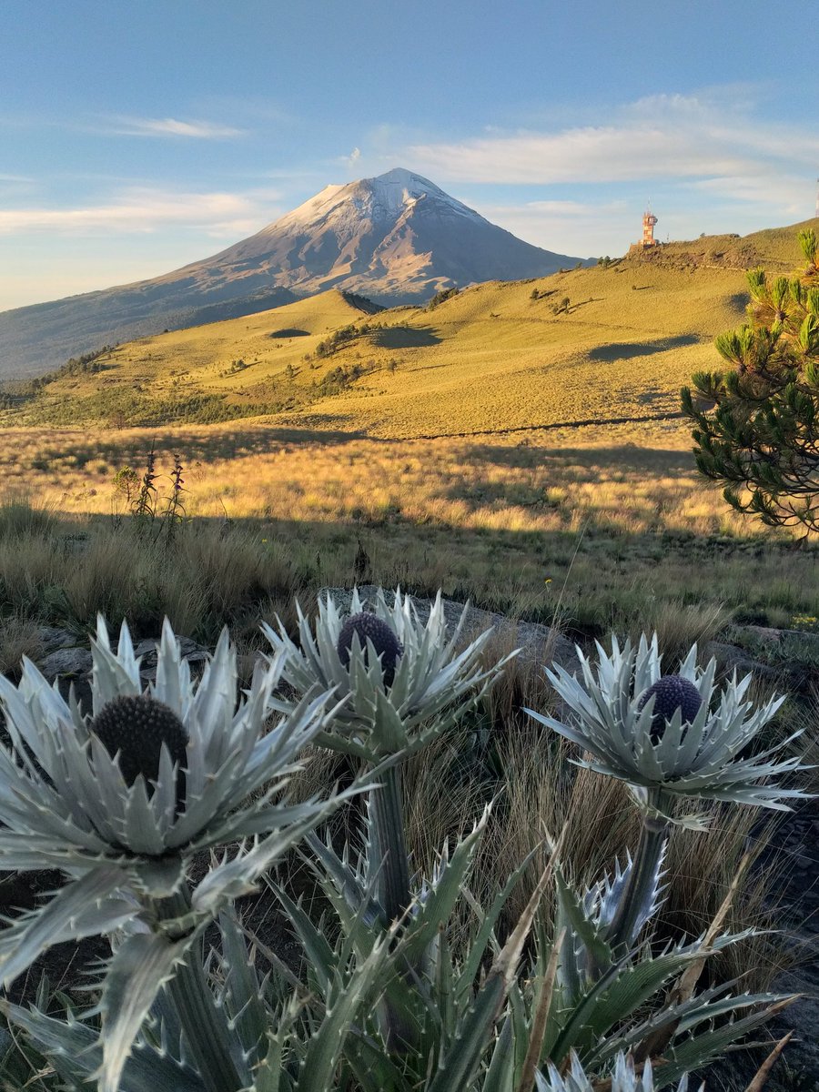 amantedelvolcan's tweet photo. Las montañas y nuestros bosques son un legado cultural, cuando se desbarata con absoluta insensibilidad tanto paisaje a nuestro alrededor el daño no es solo para el terreno o para el planeta sino para nuestra cultura y comunidad.
#sierranevada #parquenacional https://t.co/EeVnBZu5xN