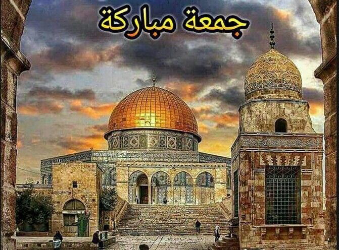 وفي صباح الجمعة ؛
نسألك اللهم يا من لا يهزم جنده ولا 
يخلف وعده ولا إله غيره أن تكن لأهلنا في 
فلسطين عوناً ونصيراً ومعيناً وظهيراً🤲

صباح الخير 🇵🇸
   جمعة مباركة 🇵🇸