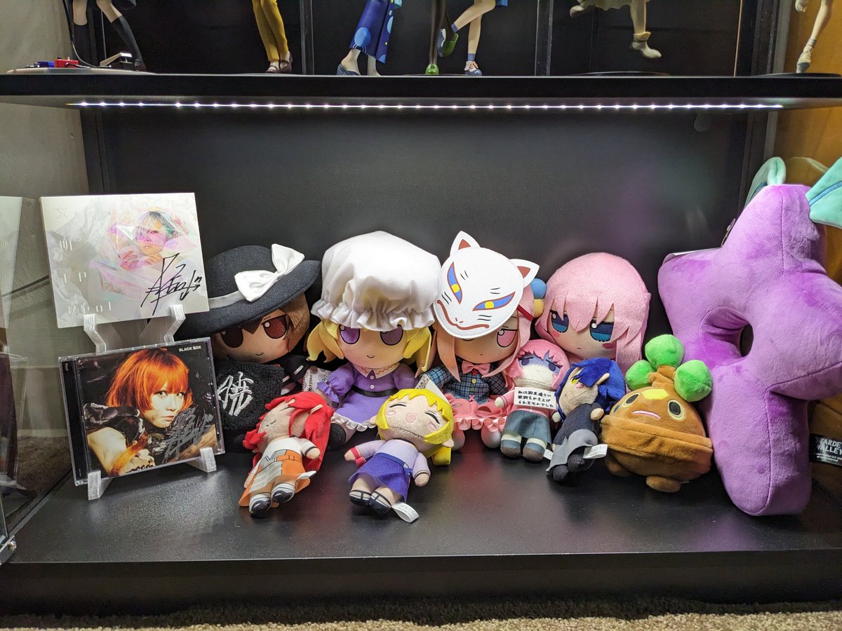 new shelf