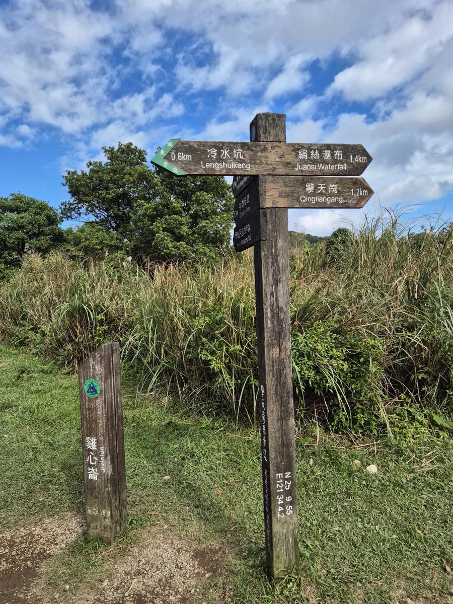 Mini04lin's tweet image. 台北の擎天崗：今日は晴れていてハイキングに最適です。