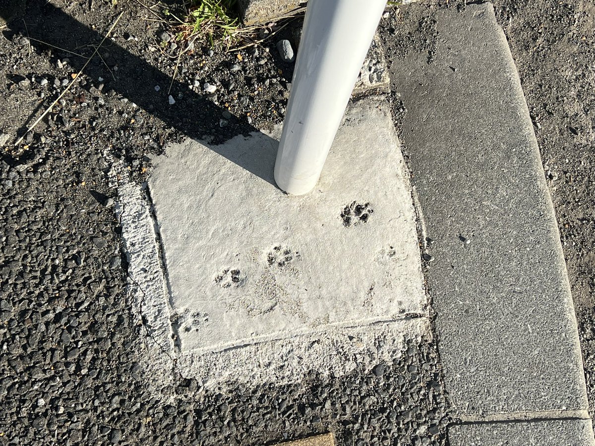 これは…もしや…