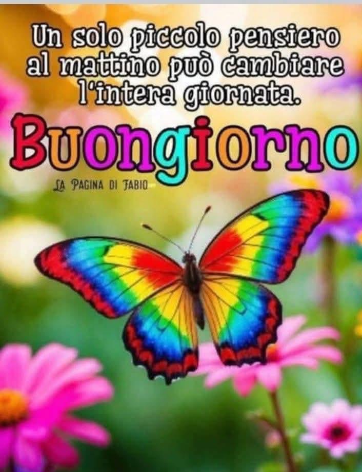 Marianna tweet media