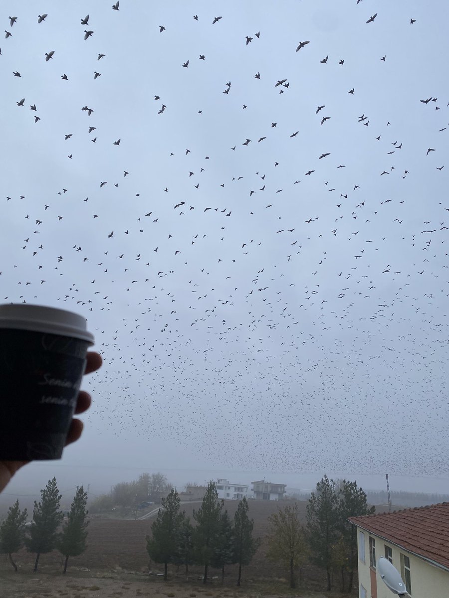 Galiba beni almaya geldiler