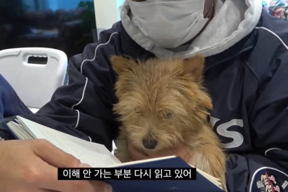 시험 3일전까지 이러고있다