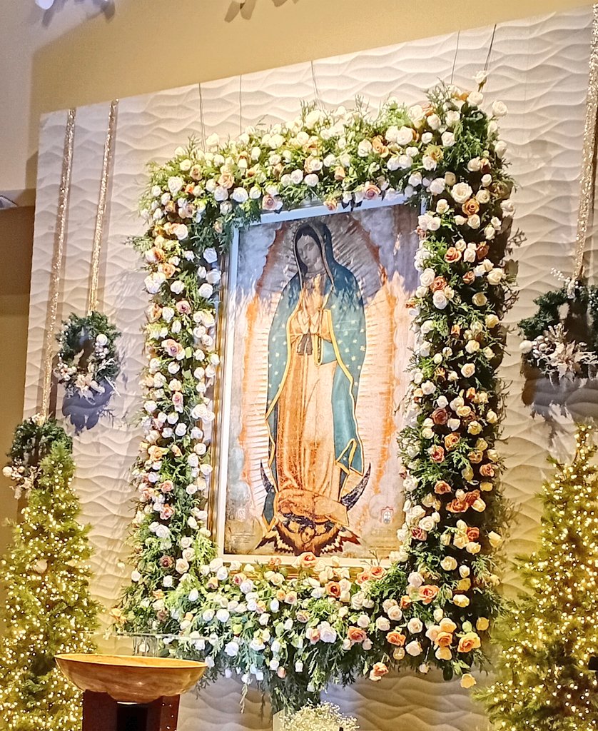 Desde el cielo una hermosa mañana...