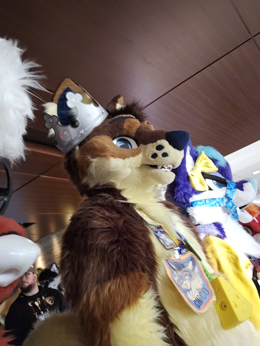 danderwoolf's tweet image. 