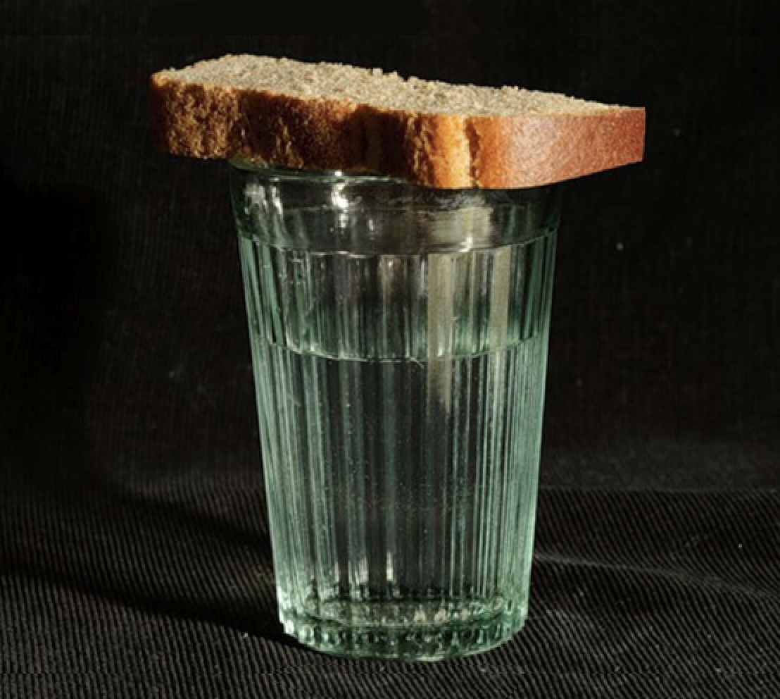 KapitanKenguru's tweet image. С днём Конституции Российской Федерации!!!