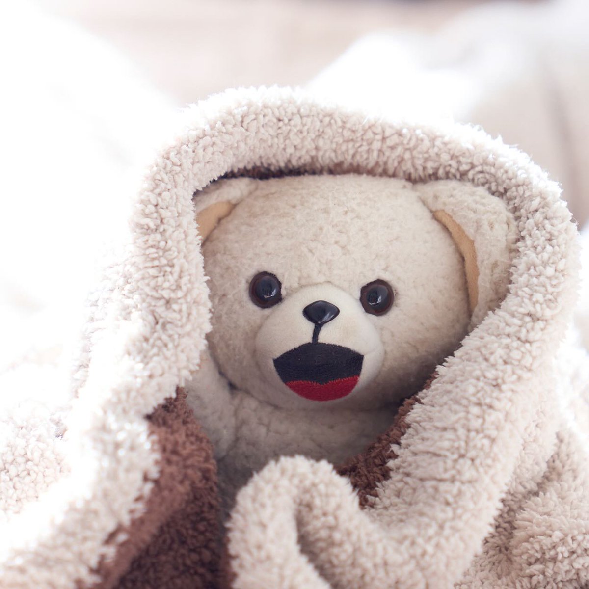 ファーファ (@fafa_bear) / Posts / X