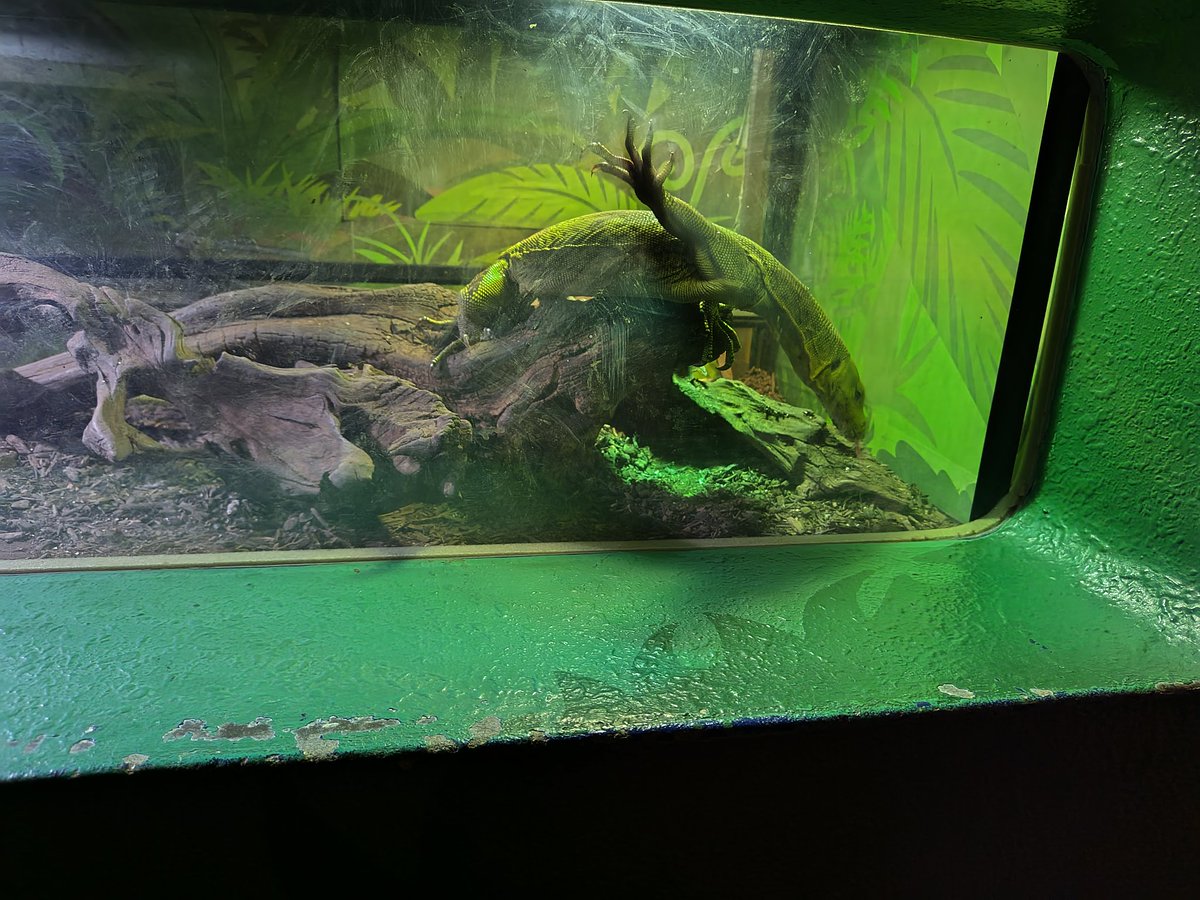 kanato2001's tweet photo. 昨日は富山県にある魚津水族館に行ってきました閉館ギリギリでしたが(￣▽￣;)色々見れたので遠出して良かったです(👍 ˙꒳˙ )👍
 #魚津水族館
 #水族館 https://t.co/7iQCpNjjbX