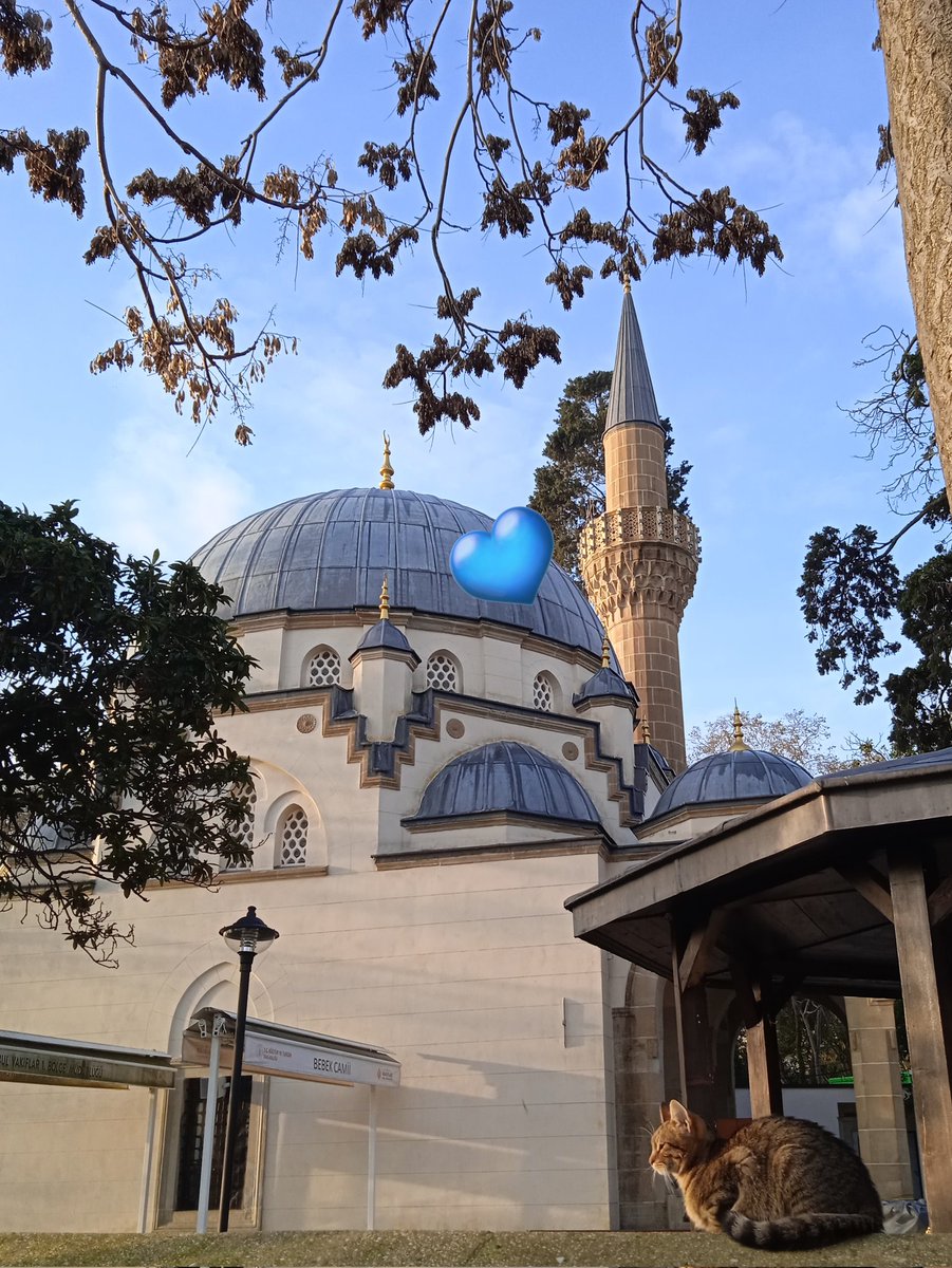 dzmavigokyuzu's tweet photo. Ne güzel dua"Yüreğin yorgunluk görmesin . . .
#Dua_ile🤲
#Cumaaa
#Missss
#Maviiiii https://t.co/IOo6pPdW6q