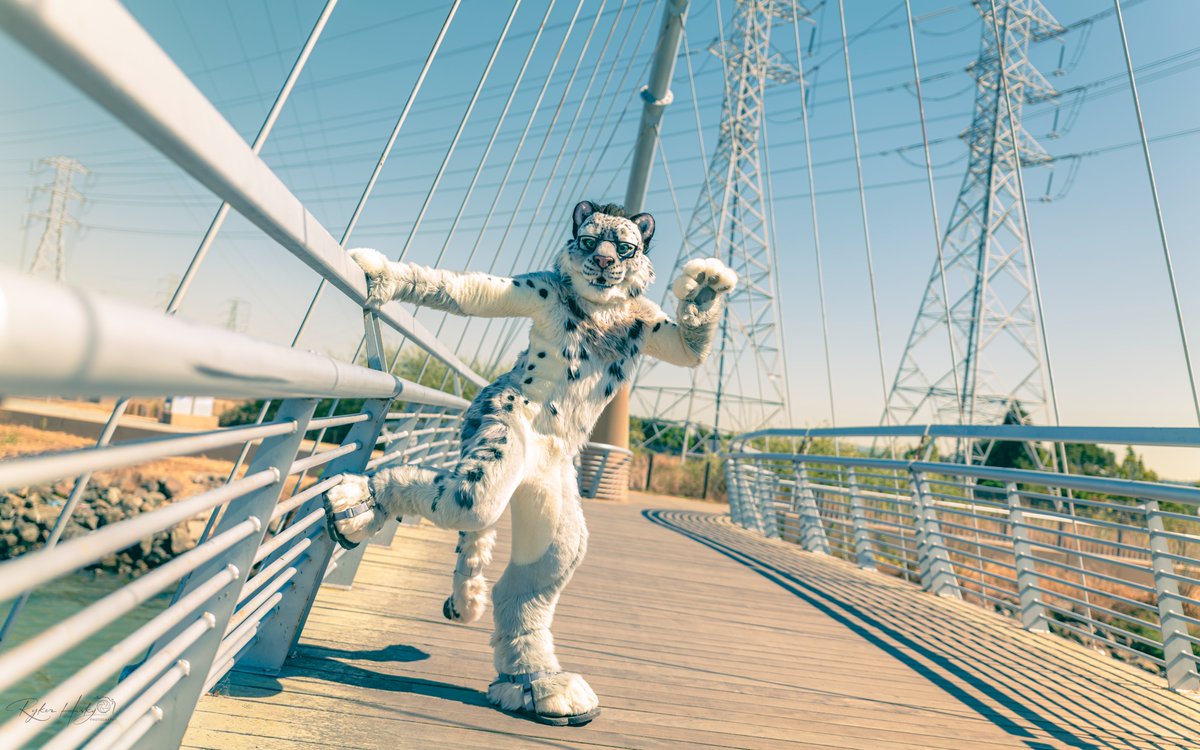 Fateclaw tweet media