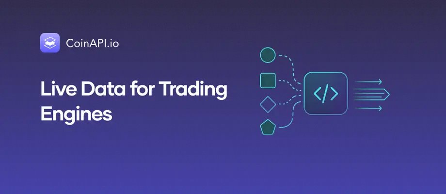 The real test of your market data provider isn't quiet times. It's when volatility spikes 500%.

That gap, where messages are dropped and ticks arrive stale, is where your alpha vanishes.

Reliability isn't a feature; it is the non-negotiable metric. If the lifeblood fails during
