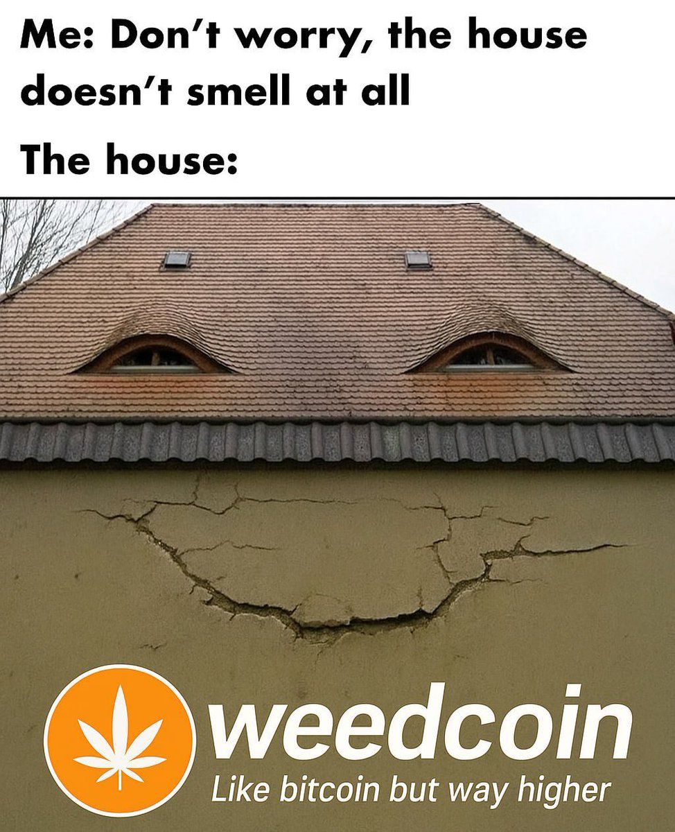 $weedcoin cooking 👀