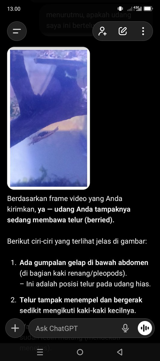 cupatkhay's tweet photo. bertelur njir https://t.co/6Gr7T5uTB3