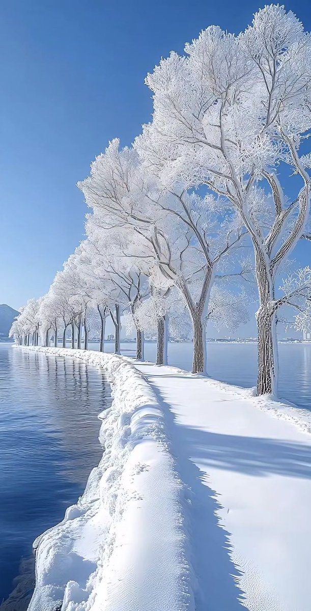 xxJBIebsCrew's tweet image. 