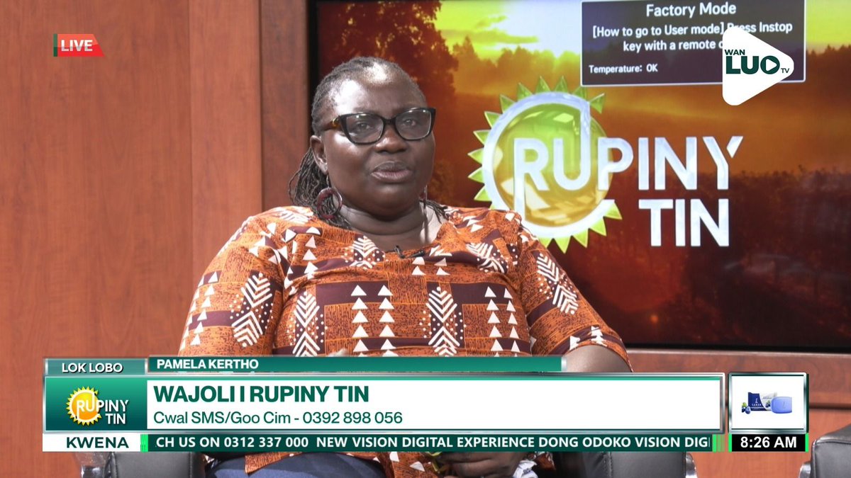 Wan Luo Tv tweet media