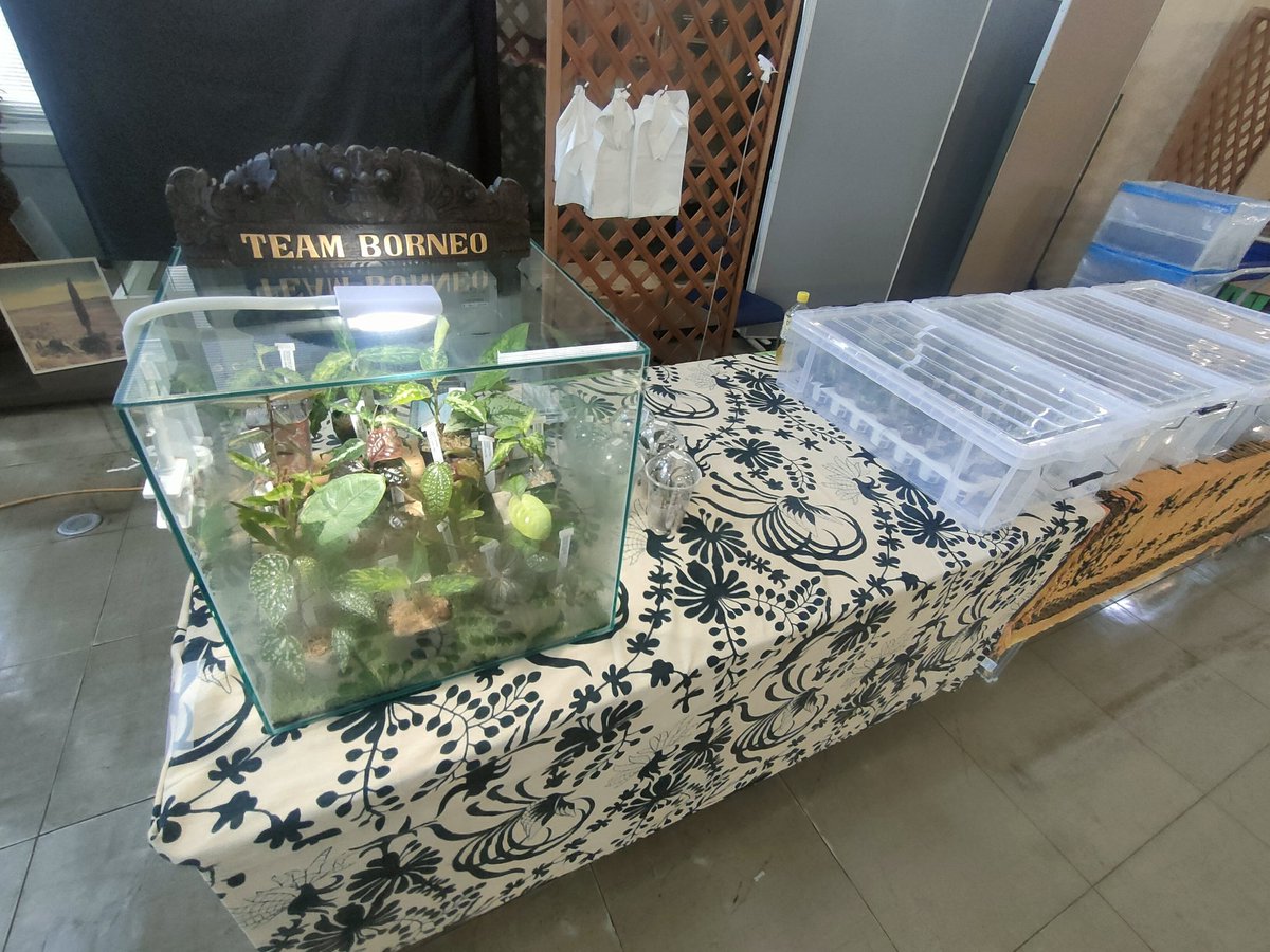 KENZO (@fw_kenzo) / Posts / X