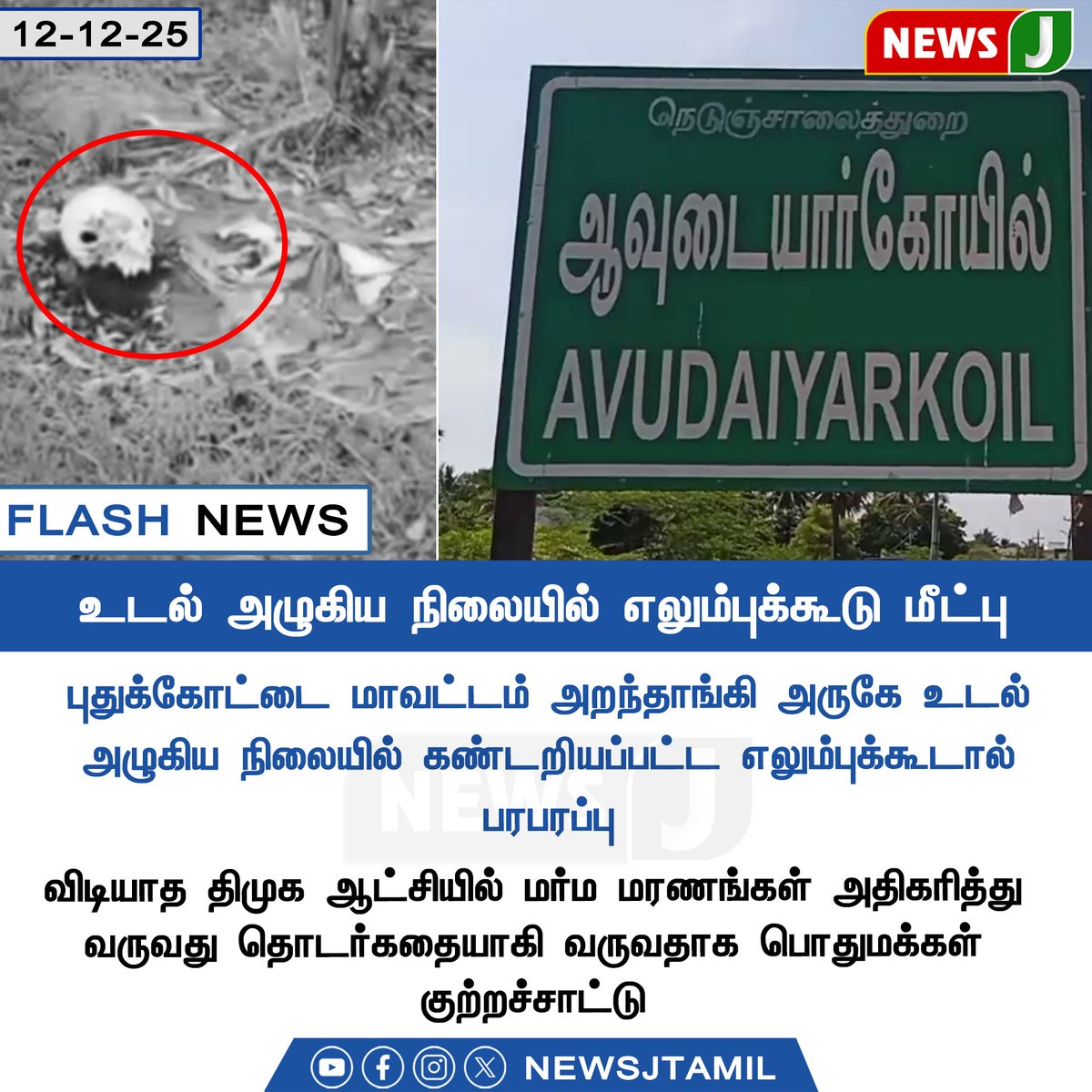 NewsJTamil's tweet photo. #NewsUpdate || உடல் அழுகிய நிலையில் எலும்புக்கூடு மீட்பு
#SkeletonFound | #MysteriousDeath | #AranthangiShock | #CrimeMystery | #PublicFear | #LawAndOrderFail | #DMKFails | #NewsJ https://t.co/mX3W1lX9GS