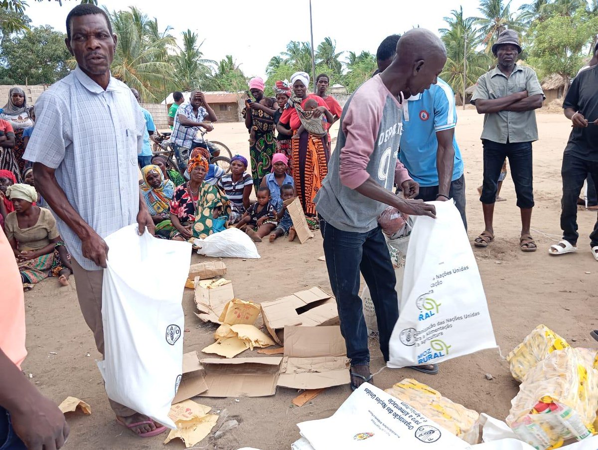 FAOMozambique's tweet photo. 🌱 Emergency input distributions in Cabo Delgado 🇲🇿
Over 10 000 households received seeds & tools through @FAO projects with Japan🇯🇵, & with the #WorldBank 🌍 under #MozRural project.
#EmergencyResponse #SeedsOfResilience #CaboDelgado https://t.co/xSWAv6F9IQ