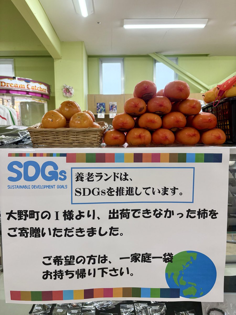 yourouland's tweet photo. 大野町のＩ様より、出荷できなかった柿をご寄贈いただきました。
甘くて美味しいです。
Ｉ様、ありがとうございます。

一家庭一袋お持ち帰りいただけます。
先着順ですので、無くなり次第終了いたします。

#養老ランド
#SDGs 
#柿 https://t.co/IuFRt1676I