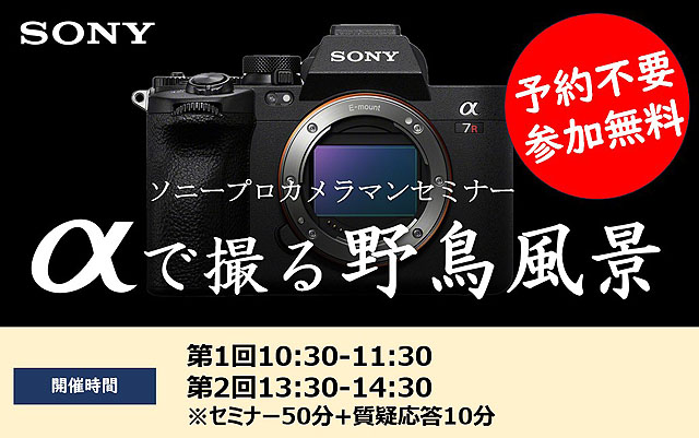 ソニーショップ☆テックスタッフ (@tenin_sato) / Posts / X