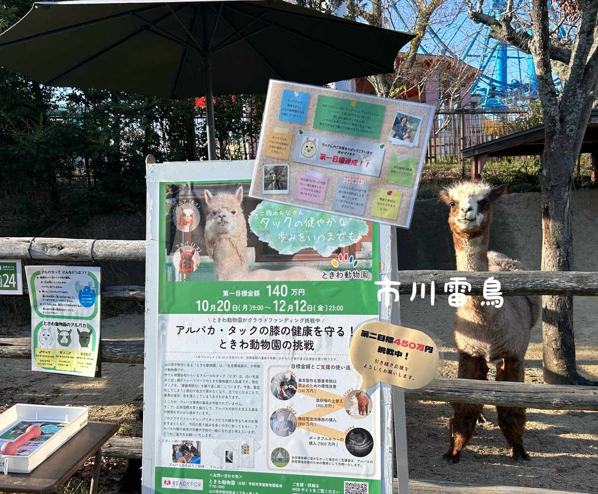 ときわ動物園 ときわ動物園 - ときわ公園|山口県宇部市