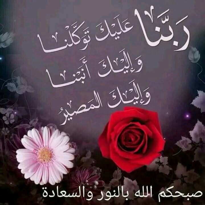 علي فواد tweet media