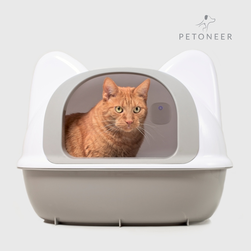 petoneer's tweet photo. No more litter box stink! Petoneer Odor Eliminator Pro neutralizes odors 24/7 without refills. Tracks your cat’s habits, promotes early health detection—all chemical-free. Eco, smart &amp; rechargeable.🐱
#CatCare #SmartPet #Petoneer
https://t.co/hughqnar0k https://t.co/fqI0iDHCcU