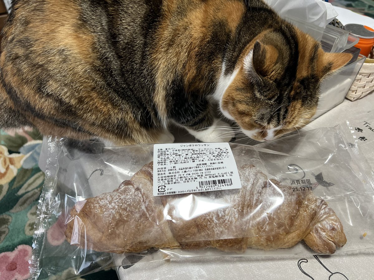 石岡@🌽🍵 (@_Gungineer_) / Posts / X