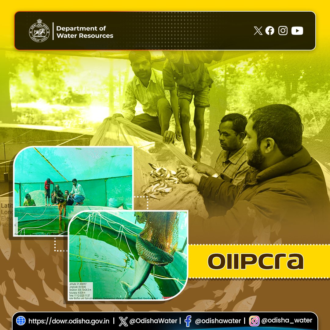 OdishaWater's tweet photo. Sampling was conducted in the #Biofloc tanks at Badajamposi village under Ghatagaon Block of #KeonjharDistrict. #OdishaWater #OIIPCRA #Aquaculture #RuralDevelopment #Fisheries
@CMO_Odisha @DC_Odisha @_anugarg @IPR_Odisha @OIIPCRA_OCTDMS @OLICLTD @ltd_occ @CE_Megalift @GWDOdisha https://t.co/eg2THJBHLu