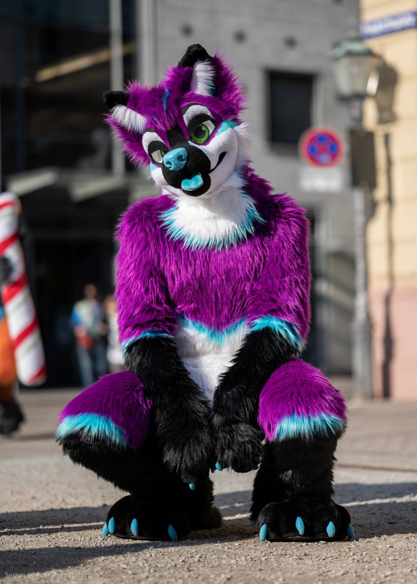 Purple Dog ✈️TFF tweet media