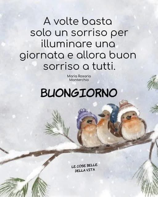 RITABIANCHi56 tweet media