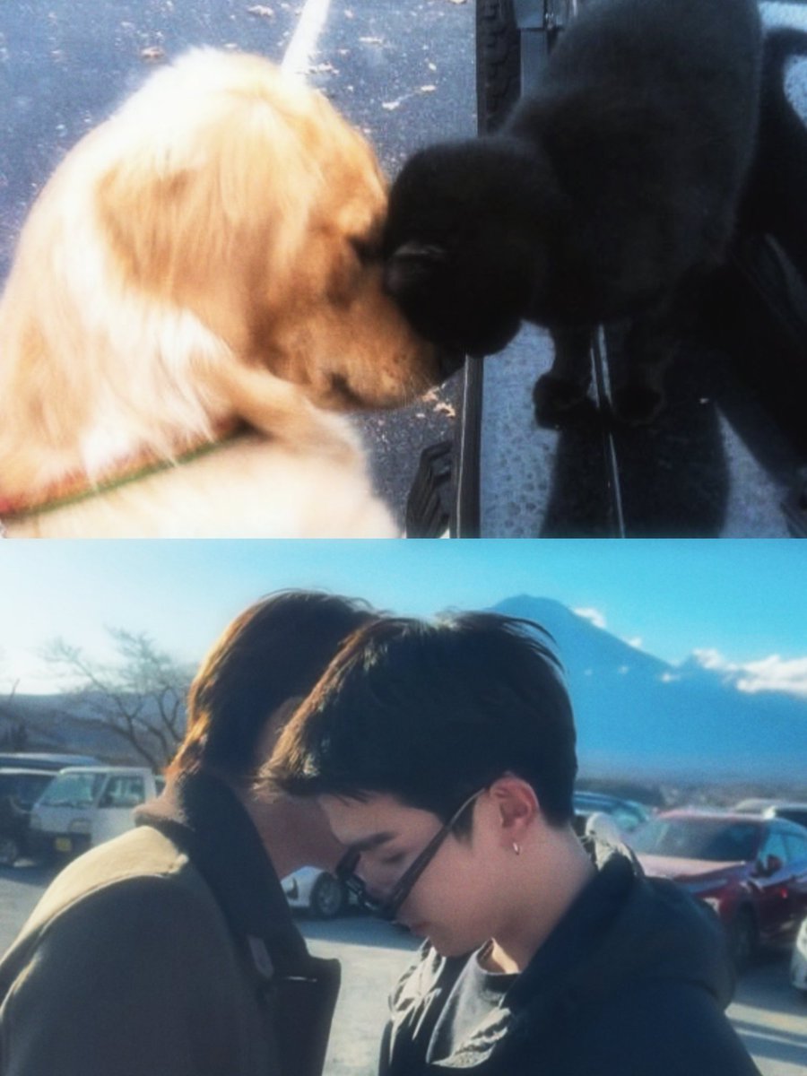 แมวดำกับหมาส้ม🐈‍⬛🐕
((คือโฟ้ดจะคลอเคลียให้ได้เลยดิเดินไปดักเขาไว้ แมวติดพฤติกรรมหัวถูอะเนาะ🙂‍↕️😭🤌🏻))