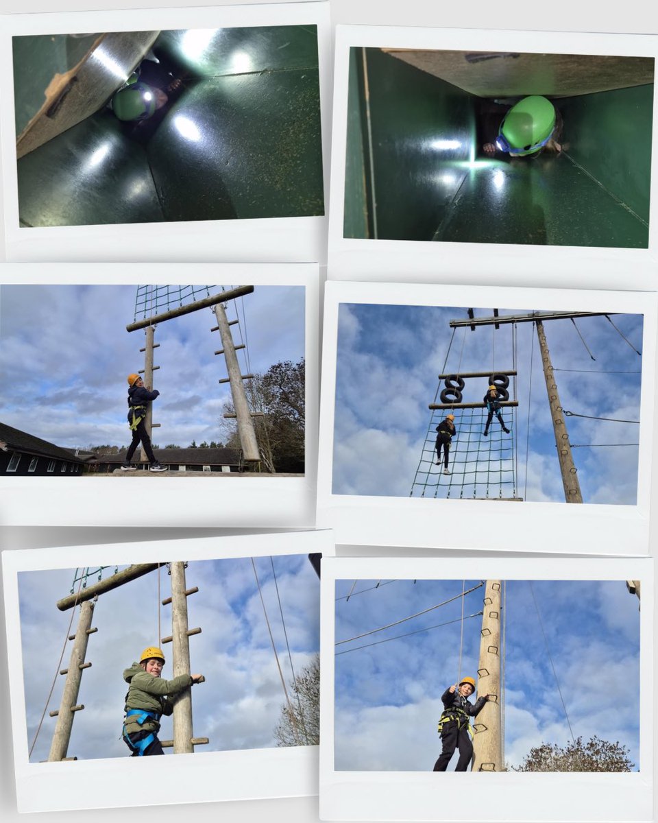 Year 6 Wynndale tweet media