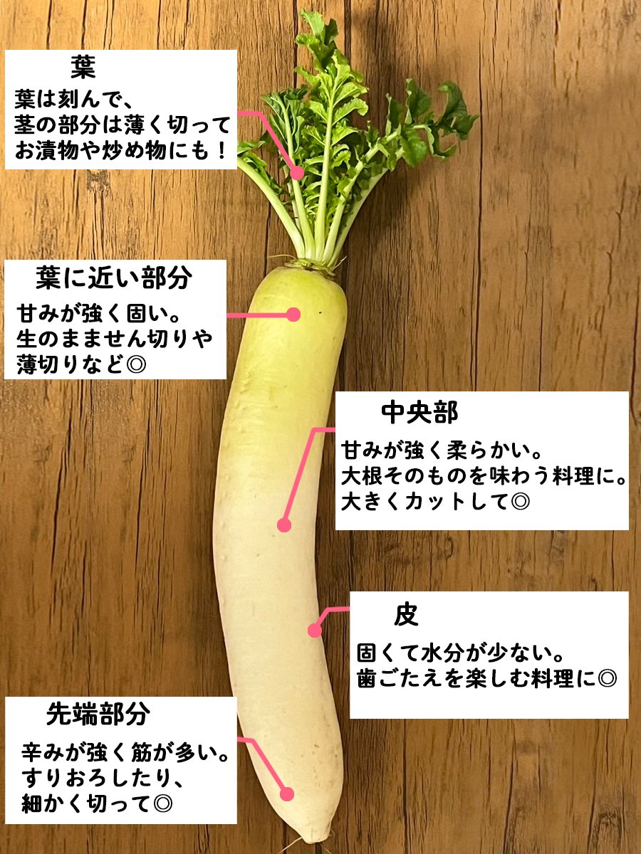 タマ「」「」「」「」 (@tama_tagen) / Posts / X