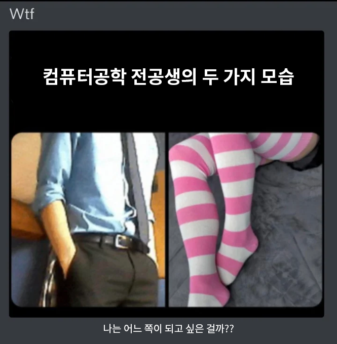 abdl_Bit's tweet photo. 이거 진짜에요? https://t.co/ruE2xctatR