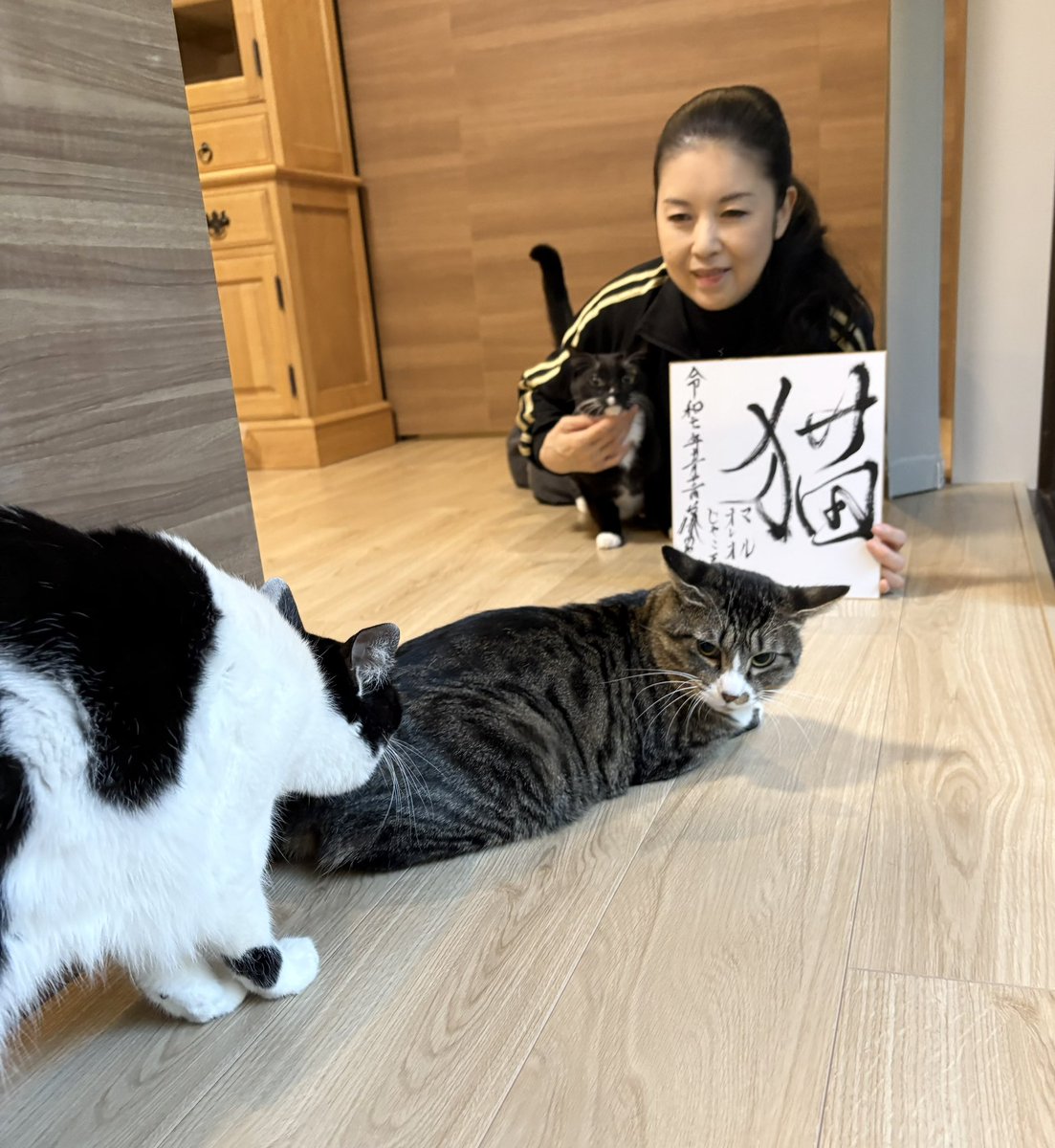 たかぎ (@takagi19832019) / Posts / X