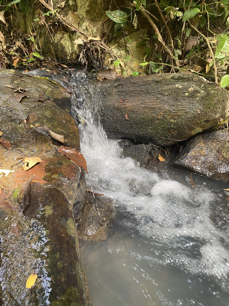 The Pearl’s Ambassador 🇺🇬 tweet media