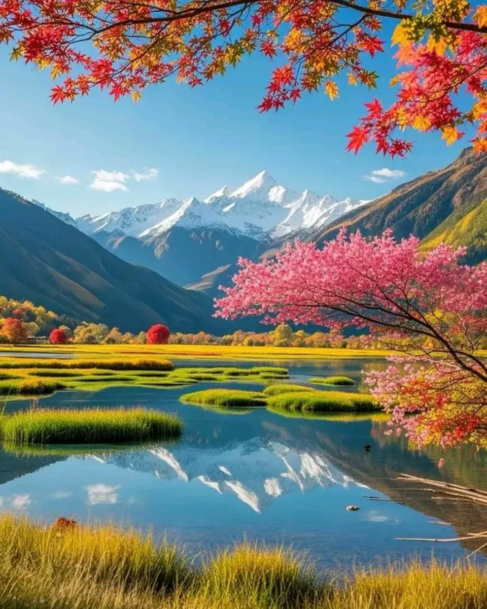 auslife1993's tweet image. Good morning, and welcome to 2026 !💕