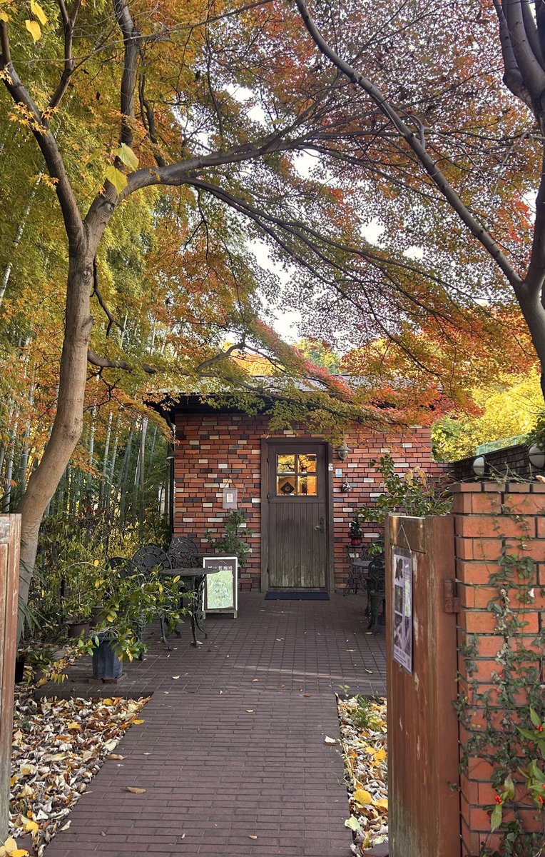 yuzu26ki's tweet image. 日暮れが早くなりなんだか寂しい季節に、人のあたたかさをたっぷり感じられた秋でした🍂.*･ﾟ

 #CampusAward2026  #キャンアワ  #ミスコン