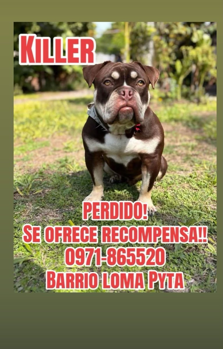 REPTZ (@ruthdemoab) on Twitter photo 