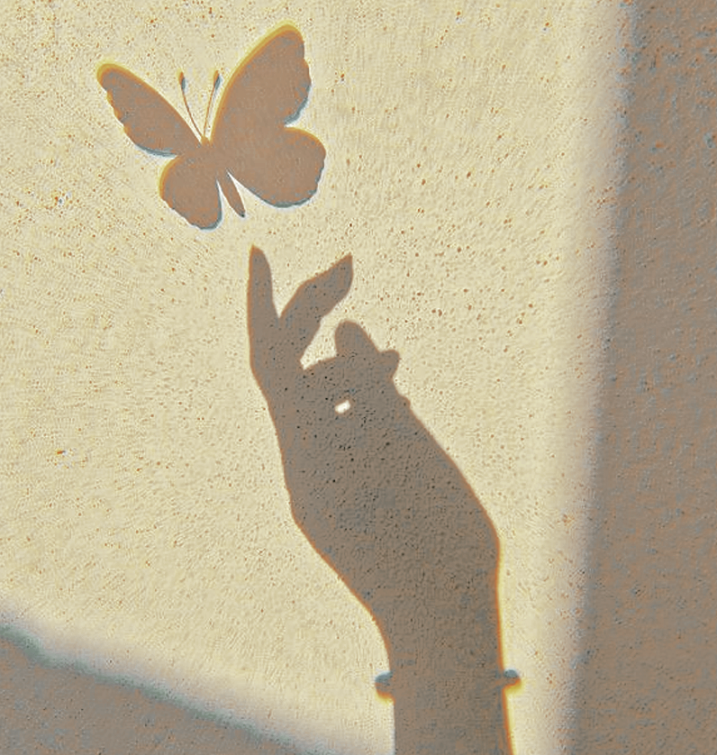 𝑨𝑪𝑨𝑫𝑬𝑴𝑰𝑨 𝑶𝑳𝑰𝑴𝑷𝑶 ( 𝑷𝑨𝑼𝑺𝑬 ) 🏗️ tweet media