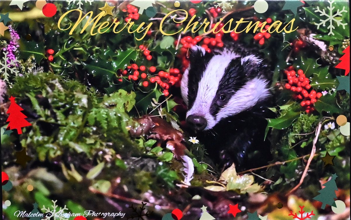 Mal Ingham tweet media