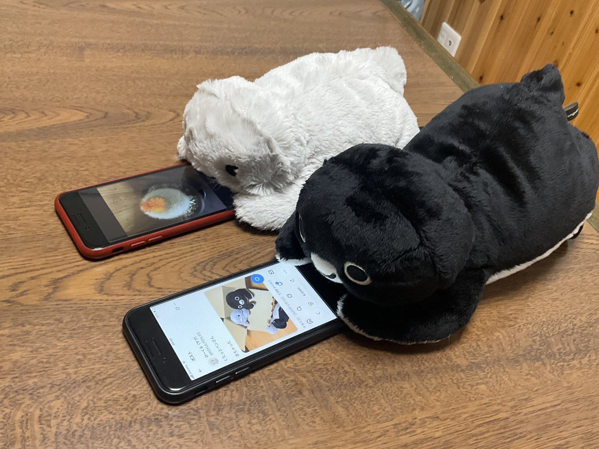 KEKULPENLIFE's tweet photo. スマホに夢中なペンギン https://t.co/lJjleCgvCH