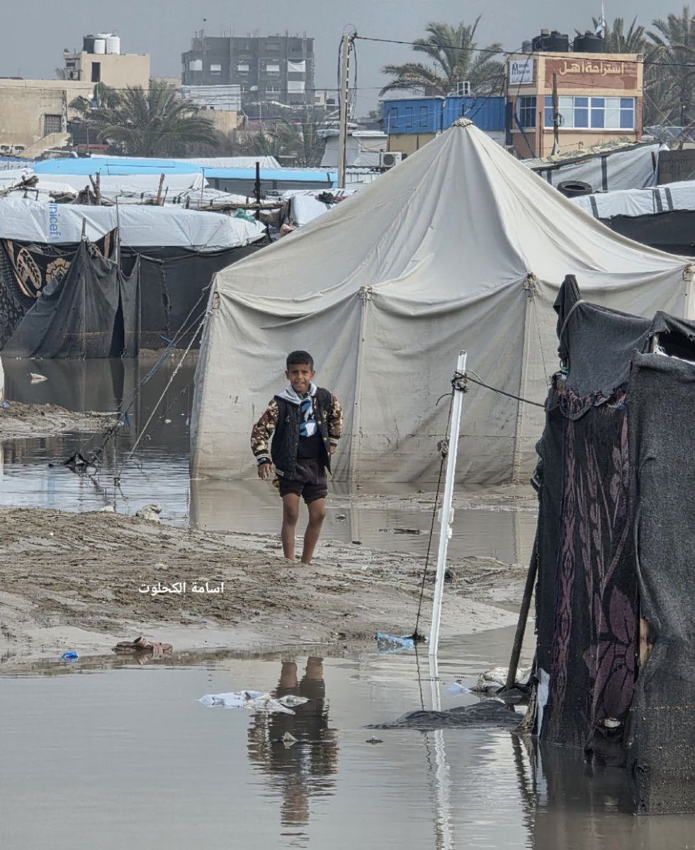 ReliefGaza's tweet photo. Pictures of the sinking of an entire camp west of Deir al-Balah due to heavy rains and calls from families to help them urgently

https://t.co/Mb96vS7QQe

Donate through a bank visa card easily👇🤲🇵🇸
 https://t.co/yGsXgTDwrX

Or donate via PayPal👇🇵🇸
https://t.co/LEyOjuFunl https://t.co/pXI9bia7Ab