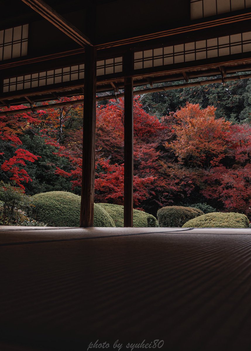 syuhei80's tweet photo. こちらのお地蔵さんも🍁

#京都 #紅葉 #そうだ京都行こう 
#tokyocameraclub https://t.co/8m720cLZ37