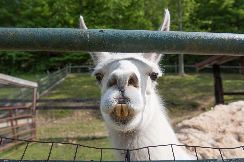 Rick Bunting tweet media