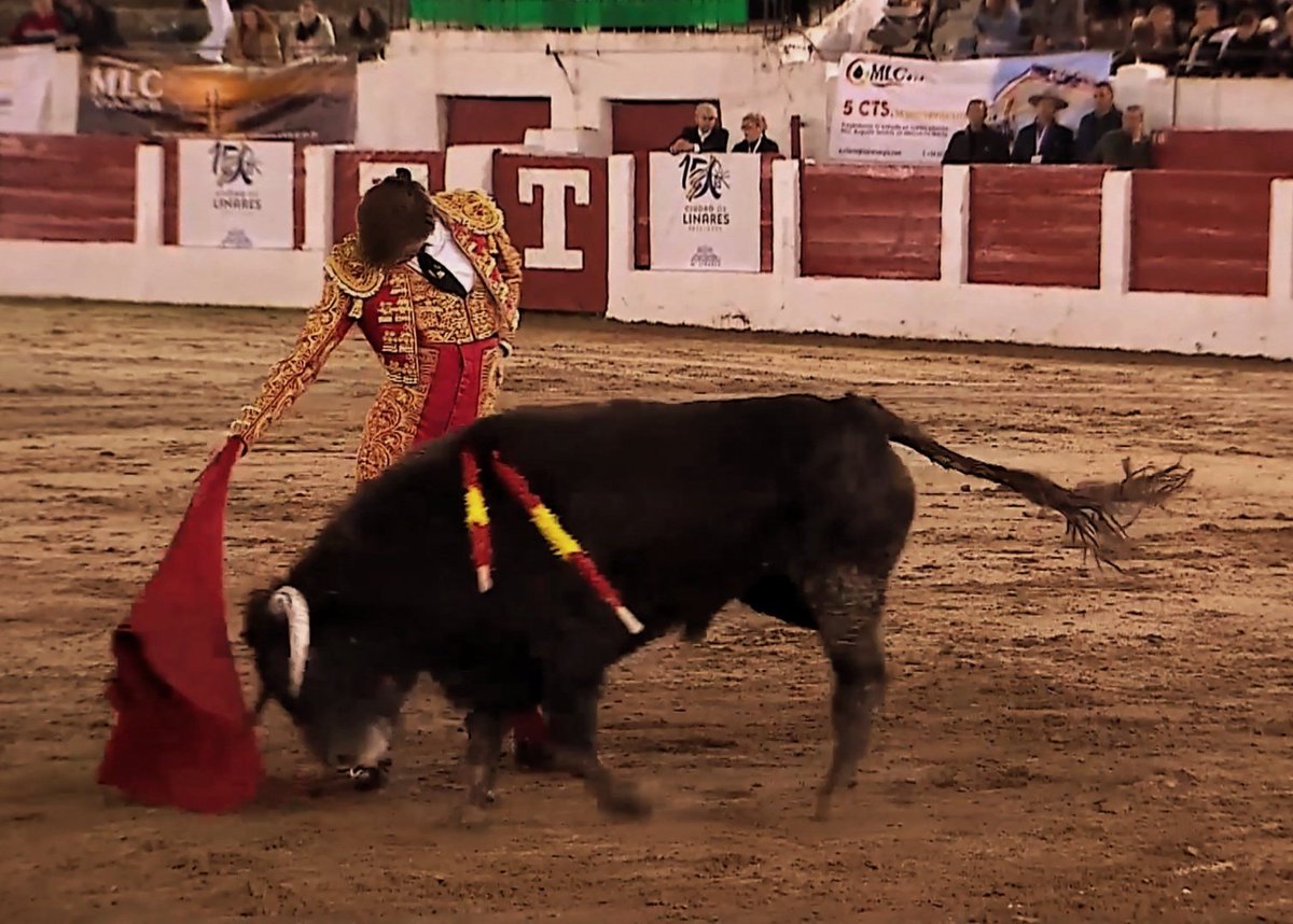 Daniel Rivas tweet media