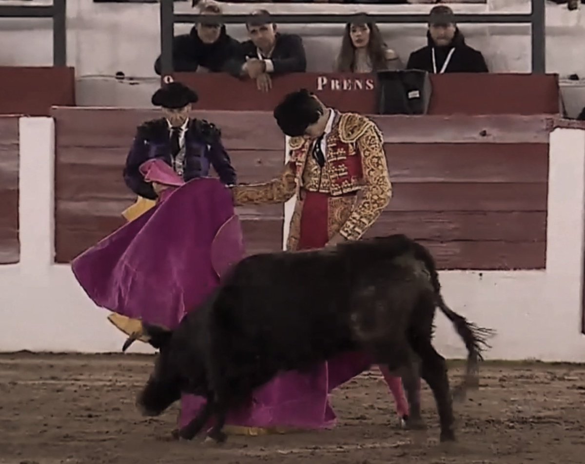 Daniel Rivas tweet media