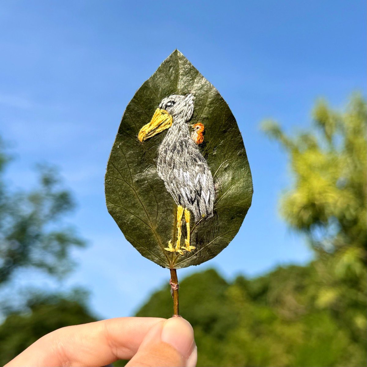 みったん (@mittan0809) / Posts / X